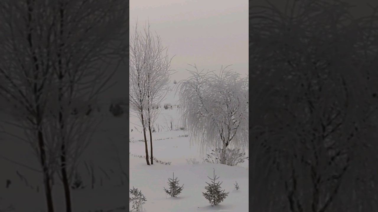 #зимняякрасота #Татарстан #родныепросторы #иней