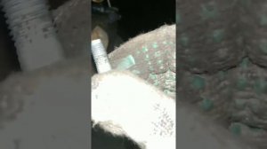 Скрип при движении