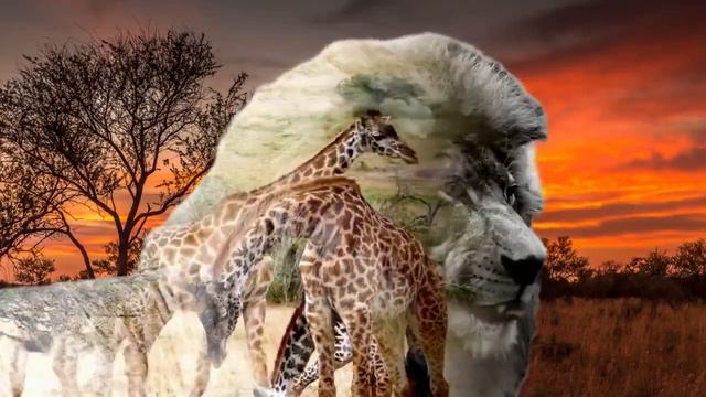 Будоражащая воображение саванна смотреть онлайн