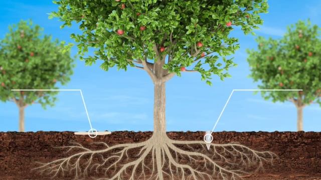 Компания «Узкимёимпэкс» предлагает на экспорт продукт «GRANAT STV» смотреть онлайн