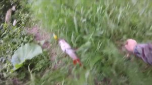 Утром на речке, голавлики и язьки