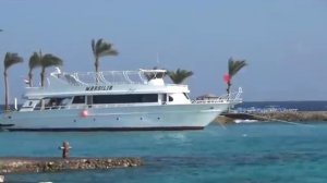 Саксофон, природа и релакс. Музыка С. Чекалина. Saxophone, nature and relaxation. S. Chekalin.