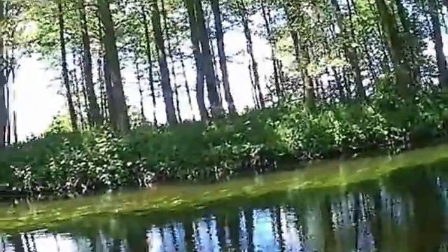 Туристы из Баранович впервые на реке Уша смотреть онлайн