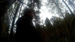 Охота на лося на гону