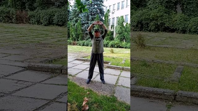 8 кусков парчи. смотреть онлайн