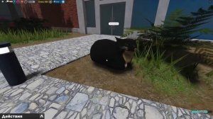 СОРВАЛ УРОКИ В ШКОЛЕ РОБЛОКСА