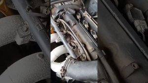 Kia Carens LPI Плохо заводится на холодную