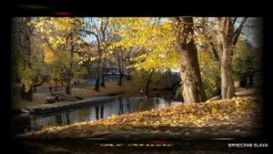 Снова осень