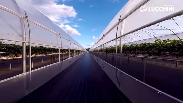 Фермерские промышленные теплицы. Система MULTY