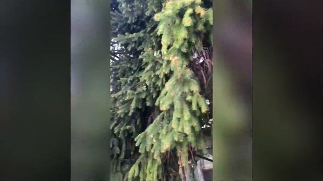 Пасха 2019/ едем в Коломну/ Коломенский кремль смотреть онлайн