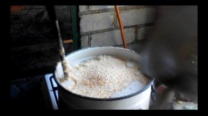 Каша для вьетнамских поросят