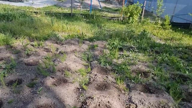 Беседка своими руками, во сколько обошлась? Мой распорядок дня/Новая жизнь Щепоткиных в России