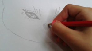 Как нарисовать котика♡♥♡♥