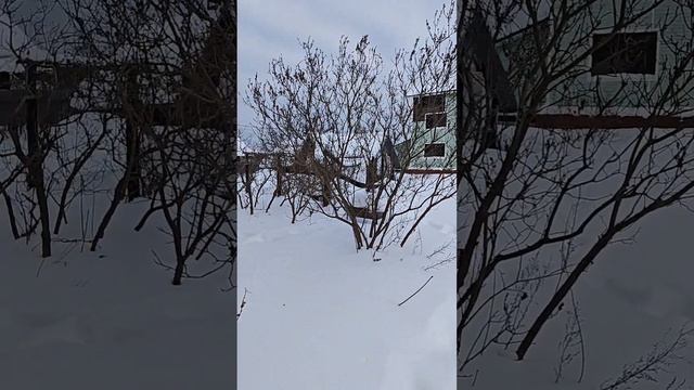 Хороший кирпичный дом под снос. Делаю топосъемку смотреть онлайн