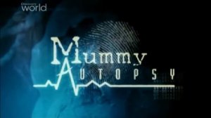 История мумий Самые древние мумии в мире  Бездомная мумия