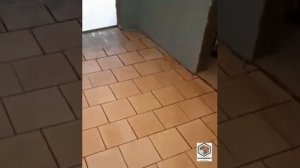 4 января 2021 г.Укладка массивной доски на 2-х компонентный клей и саморезы SPAX