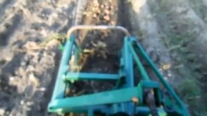 Начал копать картошку , самодельной копалкой трактором Т 25