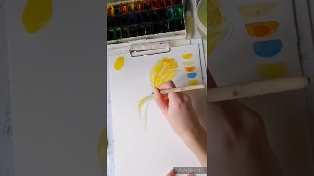 Тюльпан быстрый набросок акварель смотреть онлайн