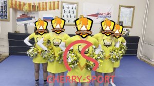 Помпоны от cherry sport