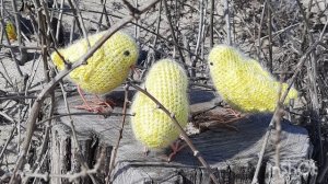 Птички крючком.