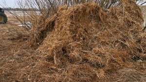 Подготовка к охоте с подсадной уткой. Апрель 2022