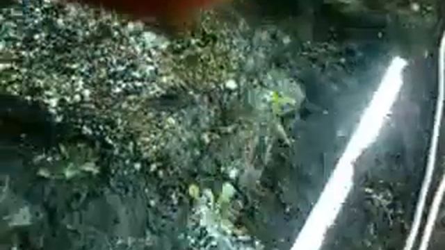 пластик труба на краску смотреть онлайн