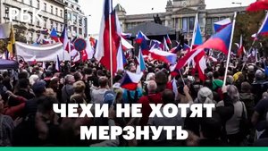 Тысячи демонстрантов в Праге потребовали отставки правительства из-за отказа от российского газа