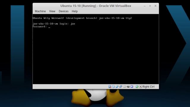 Linux Tip | Using Bash and Accessing the Terminal смотреть онлайн