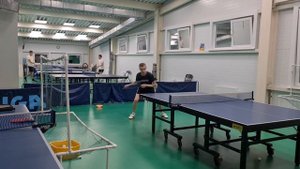 Топсы китайским пером и накладкой DHS Skyline 2 NEO