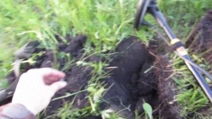 Находки старой дороги. Копнул интересную пуговицу и монет (x-terra 505)