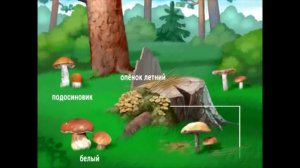 правила поведения в городе