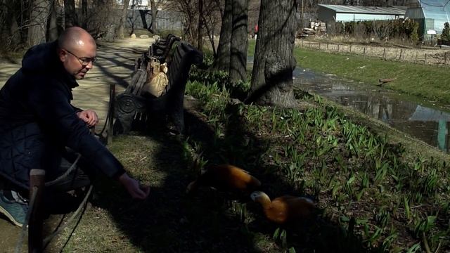 #Москвастобой - Экскурсия «Что сейчас цветет в Аптекарском огороде»