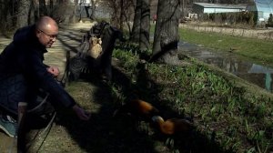 #Москвастобой - Экскурсия «Что сейчас цветет в Аптекарском огороде»