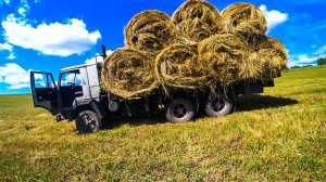 Один день сенокоса 2022 года. Вывозим с поля сено в рулонах на Камазах и Урале