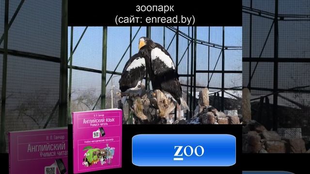 Задание Z1.mp4