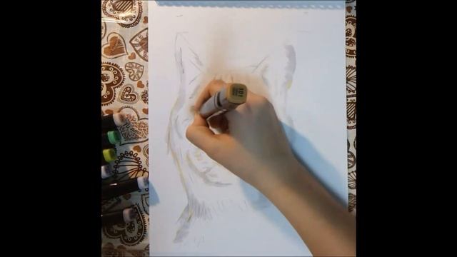 Рисуем кота породы мейн-кун. Маркерами для скетчинга.