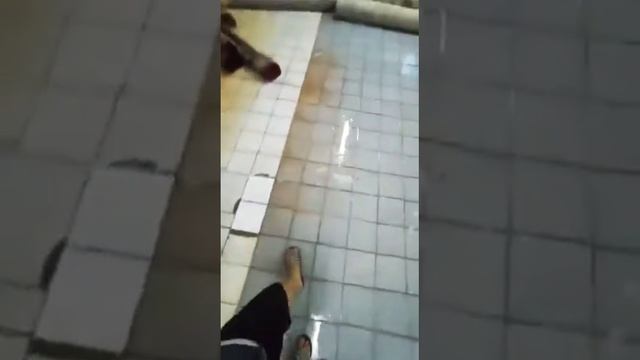 Бизнес стирка ковров! Как выбор помещений под стирка ковров смотреть онлайн