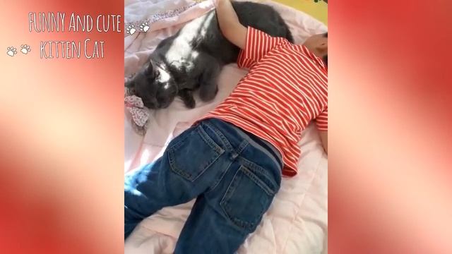 Кошки очень любят спать с хозяевами. Посмотрите как кошки счастливы в эти моменты смотреть онлайн