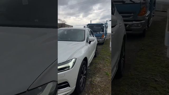 VOLVO XC60 НА ПРАВОМ РУЛЕ ?? #автоизяпонии #auction #автоподзаказ #volvoxc60 #автосаукциона #volvo