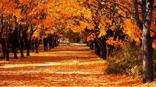 Красота осени, осенние пейзажи | Autumn beauty, autumn landscapes.
