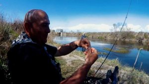 Храмуля на спиннинг  на мормышку и тинку