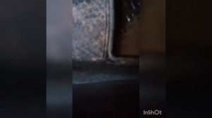 Лайфхак:Как убрать воду с коврика не вынимая его из салона!!!