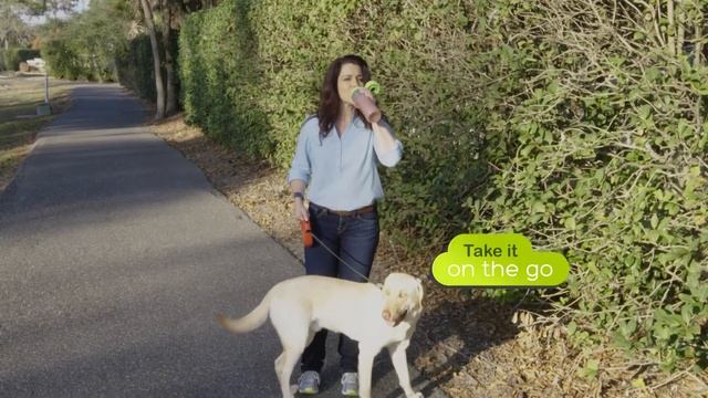 Flavor Fresh смотреть онлайн