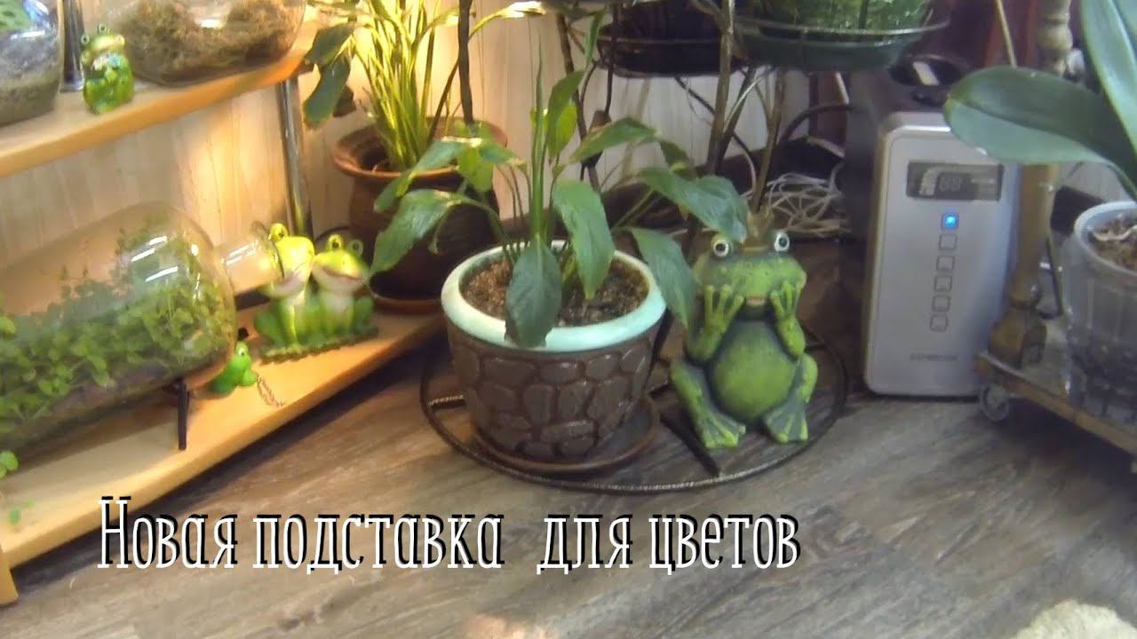 Новая подставка для цветов. Куда впихнула ;)