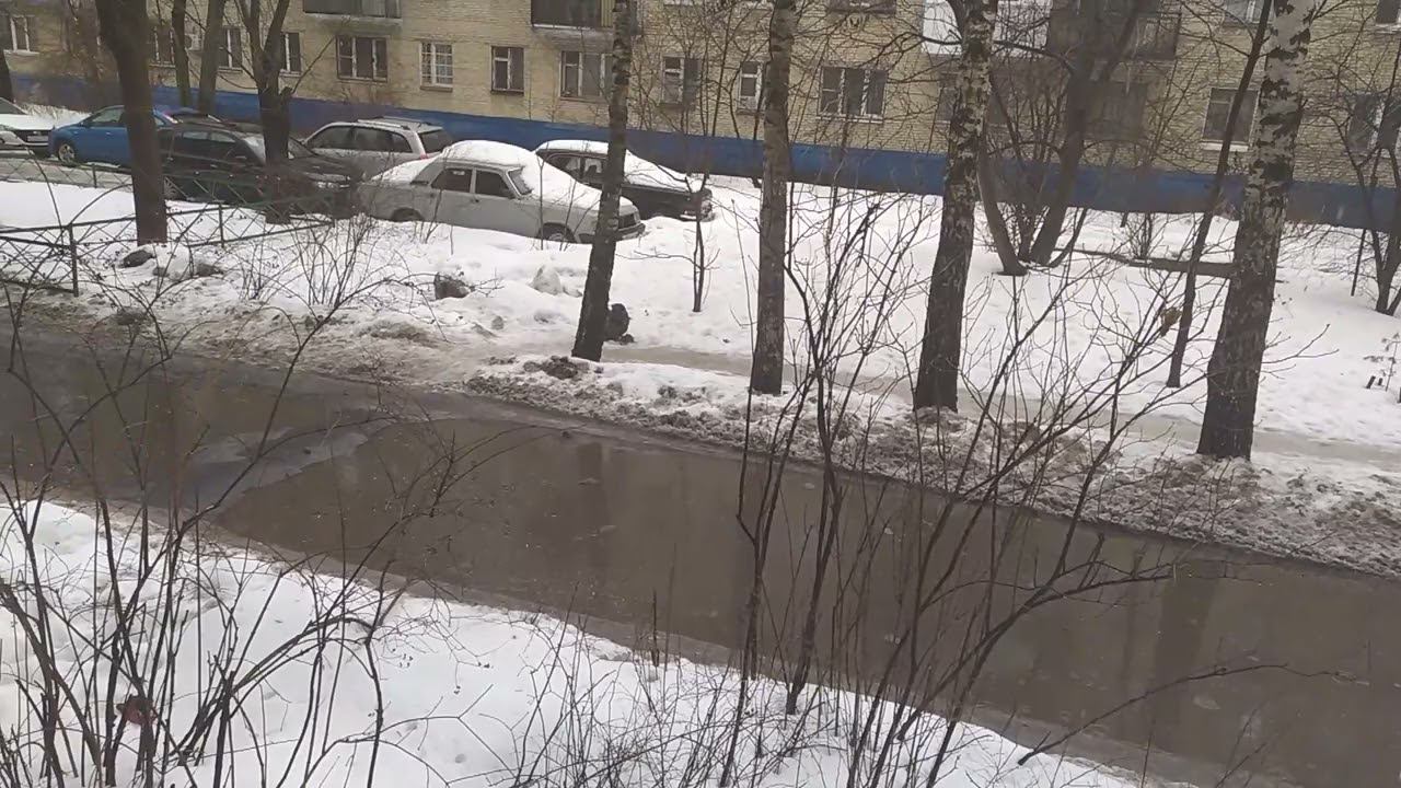 Весна пришла! смотреть онлайн