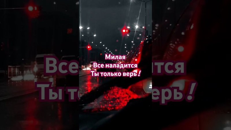 21 ноября 2023 г.