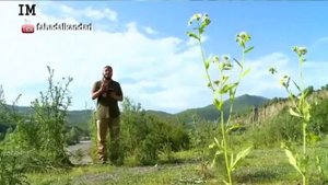 Путешественник с Кораном   5 ЧЕЧНЯ