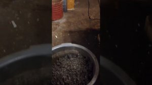 Масло Пресс