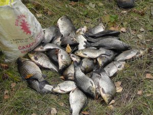 Карасёвое озеро.