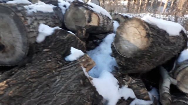 Стабилизация древесины, начало смотреть онлайн